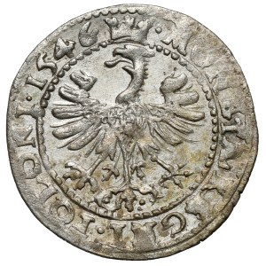 Sigismund I the Old, Cracow penny 1546 ST - SIGISMVNDV - b.rare