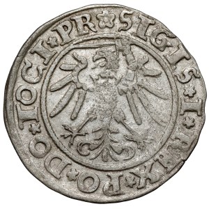 Zikmund I. Starý, Penny Elbląg 1534