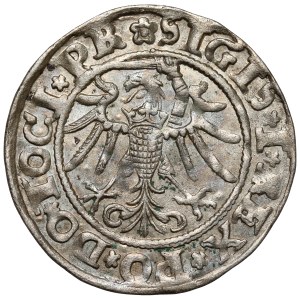 Sigismund I the Old, Penny Elblag 1535
