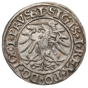 Sigismund I the Old, The penny of Elblag 1533 - first