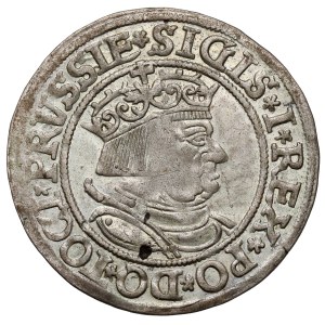Sigismund I the Old, Torun penny 1534 - beautiful