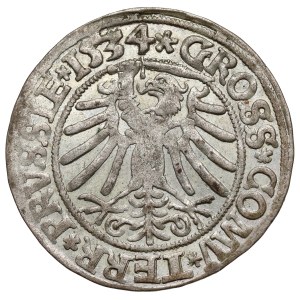 Sigismund I the Old, Torun penny 1534 - beautiful