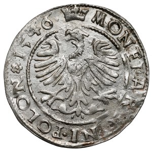 Sigismund I the Old, Cracow penny 1546 ST - ex. Segna