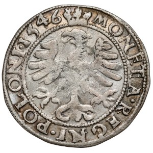 Sigismund I the Old, Cracow 1546 penny with ANGELS (AMORKS)