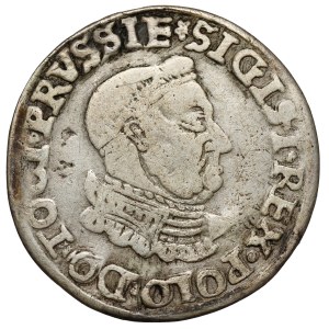 Sigismund I the Old, Trojak Torun 1534 - decorative armor - rare