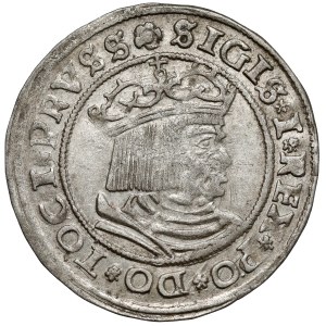 Žigmund I. Starý, Grosz Toruń 1529