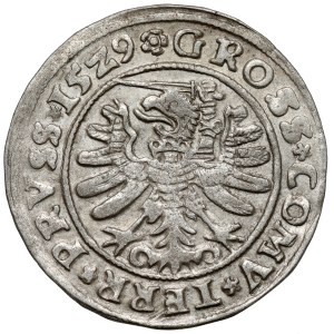 Žigmund I. Starý, Grosz Toruń 1529