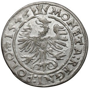 Sigismund I the Old, The Cracow Penny 1546 ST