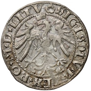 Sigismund I the Old, Vilnius penny 1536 - letter I