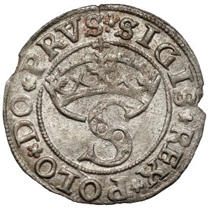 Žigmund I. Starý, Szeląg Toruń 1531