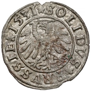 Žigmund I. Starý, Szeląg Toruń 1531