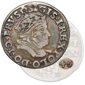 Sigismund I the Old, Trojak Gdansk 1546 - very rare