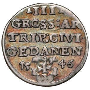 Sigismund I the Old, Trojak Gdansk 1546 - very rare