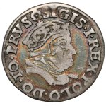 Sigismund I the Old, Trojak Gdansk 1546 - very rare