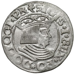 Sigismund I the Old, Gdansk penny 1535 - early - PR