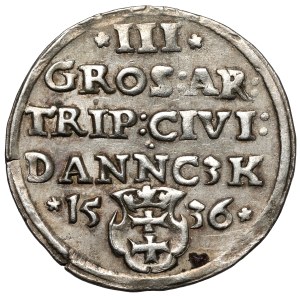 Zikmund I. Starý, Trojak Gdaňsk 1536 - PRVS