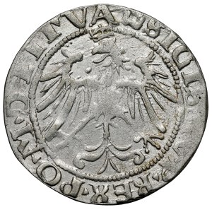 Žigmund I. Starý, Vilniuský groš 1536 - list F