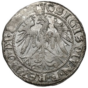 Sigismund I the Old, Vilnius penny 1536 - letter I - beautiful