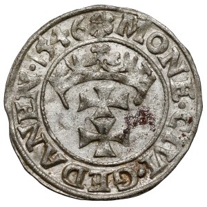 Sigismund I the Old, Shellegrund Gdansk 1546 - large flower