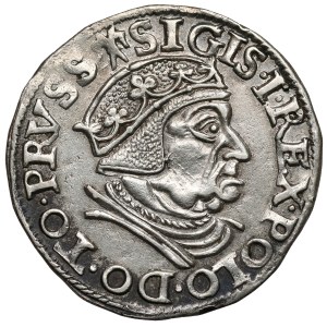 Zygmunt I Stary, Trojak Gdańsk 1538