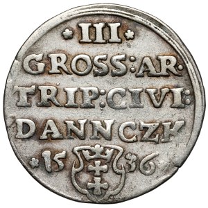 Sigismondo I il Vecchio, Trojak Danzica 1536 - testa larga - B. RZADKI