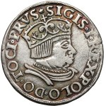 Sigismondo I il Vecchio, Trojak Danzica 1536 - testa larga - B. RZADKI