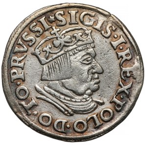 Žigmund I. Starý, Trojak Gdansk 1536 - PRVSSI