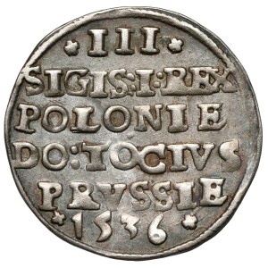 Sigismund I the Old, Trojak Elbląg 1536
