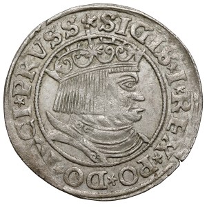 Sigismund I the Old, Penny of Toruń 1532