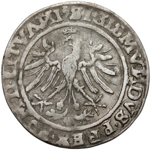 Sigismund I the Old, Penny Vilnius 1535