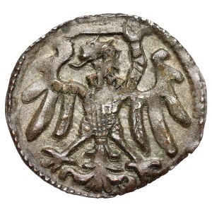 Zygmunt I Stary, Denar Elbląg bez daty