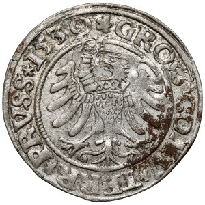 Sigismund I the Old, Torun 1530 penny - sword to the right