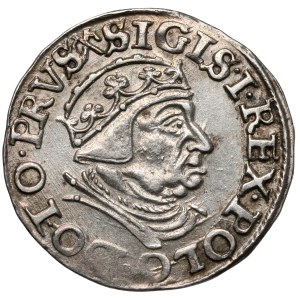 Sigismund I the Old, Trojak Gdansk 1539 - very nice
