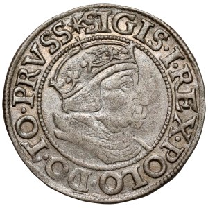Sigismondo I il Vecchio, Grosz Gdańsk 1538