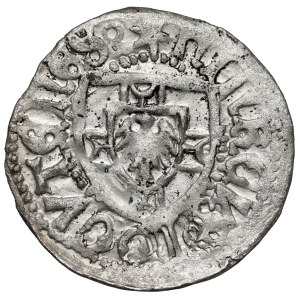 Teutonic Order, Henry Reuss von Plauen, the Shelagus