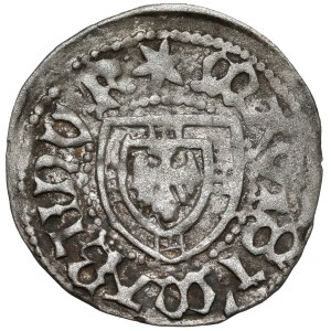 Teutonský řád, Martin Truchsess, Shelby
