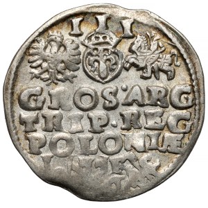 Sigismund III Vasa, Troika Lublin 1596