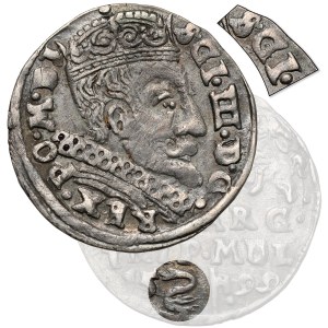 Sigismund III Vasa, Troyak Vilnius 1599 - Swan - SGI error