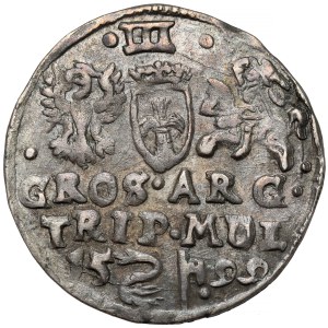 Sigismund III Vasa, Troyak Vilnius 1599 - Swan - SGI error