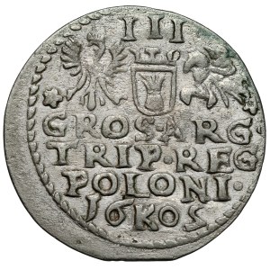 Sigismund III Vasa, Imitation of a Troika Kraków 1602