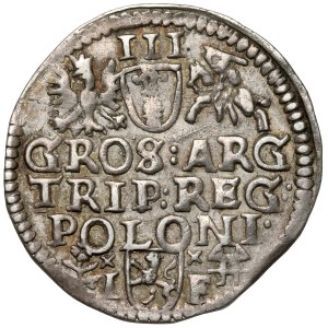 Sigismund III Vasa, Trojak Wschowa 1595