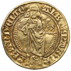 Brandenburg-Ansbach, Albrecht Achilles (1464-1486) Goldgulden bez daty