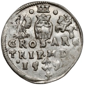 Sigismund III Vasa, Troika Vilnius 1595 - Prussia