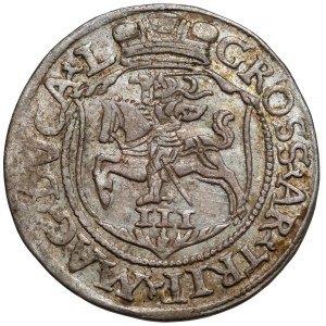 Sigismund II Augustus, Troika Vilnius 1564