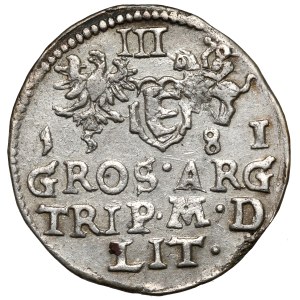 Stefan Batory, Troyak Vilnius 1581 - Leliwa