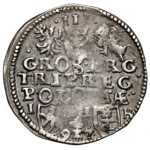 Sigismund III Vasa, Trojak Poznań 1597 - tubular orifice
