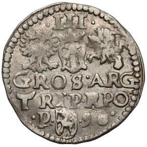 Sigismund III Vasa, Trojak Poznań 1598