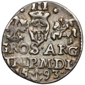 Sigismund III Vasa, Troika Vilnius 1593 - Dyla