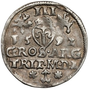 Žigmund III Vasa, Trojka Vilnius 1592