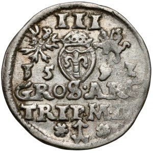 Sigismund III Vasa, Troika Vilnius 1592